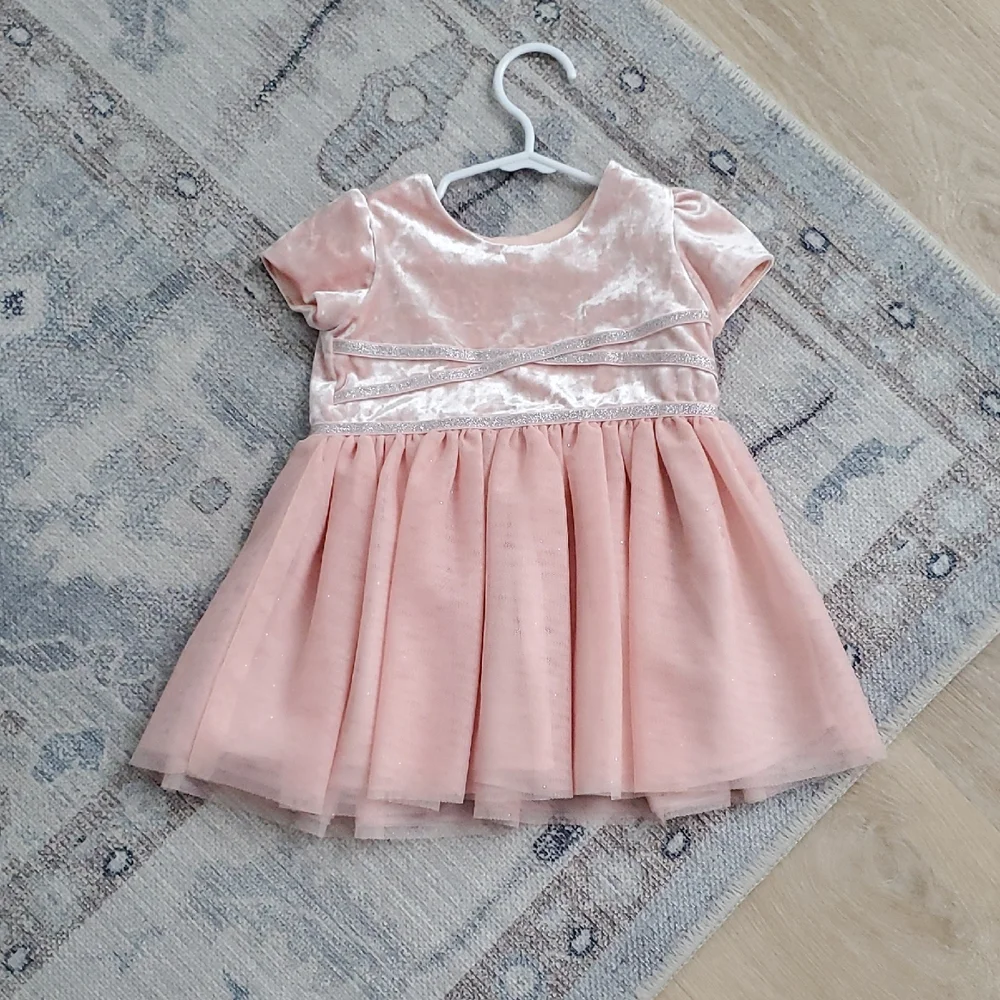 The Children's Place Baby Girls Pink Velvet And Tulle Princess Dress Sz12-18m